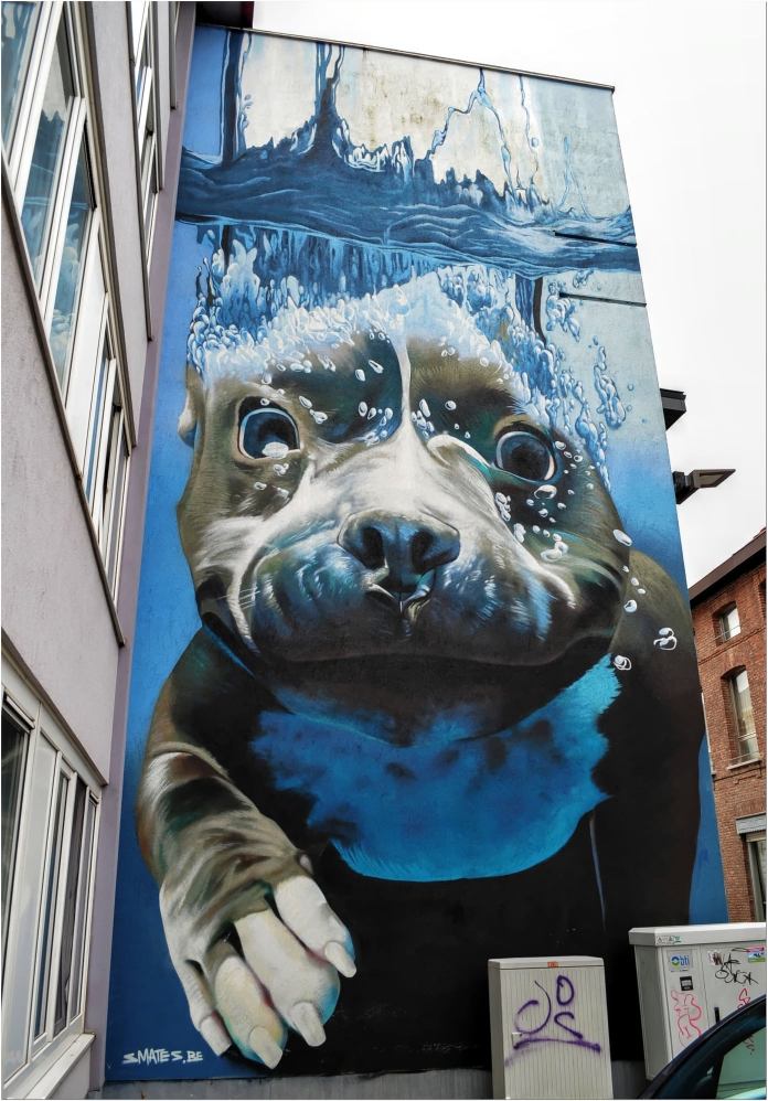 A mural by Smates in Mechelen, Belgium, showing a dog submerged underwater with wide-open eyes and bubbles floating around its face. The blue tones and detailed water effects create a dynamic and playful scene.