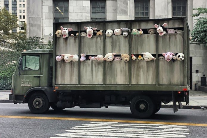 The Sirens of the Lambs. In New York, USA