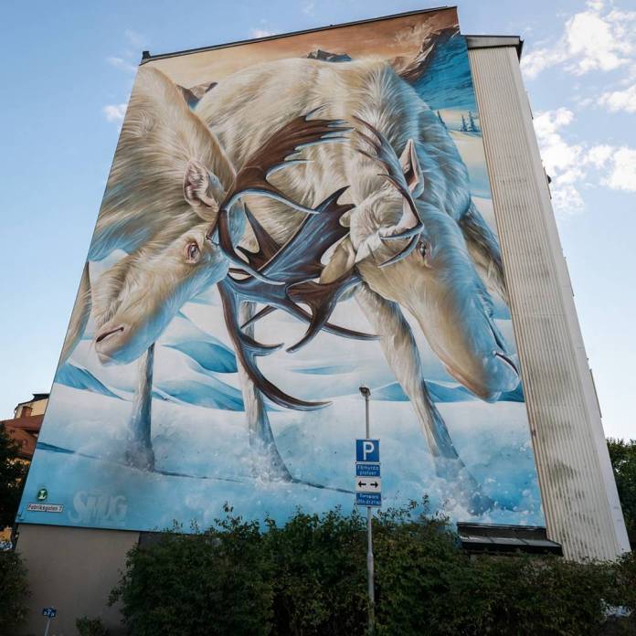 Massive mural of two majestic moose with interlocking antlers, painted by SMUG on a building in Karlstad, Sweden for the Artscape festival. The artwork captures the realistic texture of the moose’s fur and antlers, set against a snowy background with blue and white tones. The mural spans the entire height of the building, showing SMUG's characteristic photorealistic style and attention to detail.