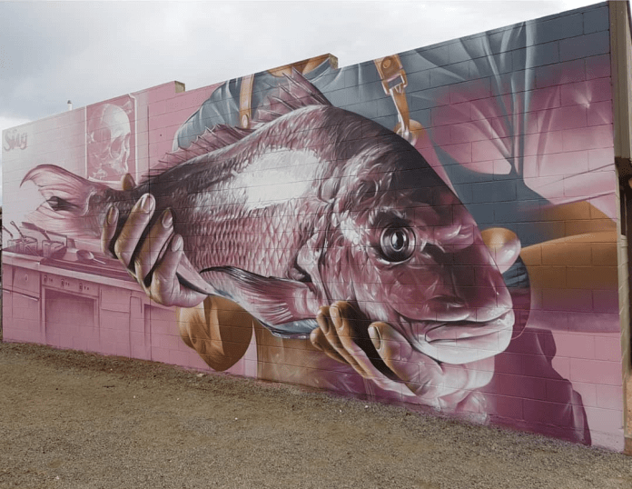 A vibrant mural by Smug created for the Colour Tumby Street Art Festival in Tumby Bay, Australia. The artwork features a close-up of hands holding a large, detailed fish, showcasing its scales and wide, expressive eye. The mural's background hints at a kitchen setting, including an outlined skull visible in the background, adding an intriguing layer to the scene. Smug’s hyper-realistic style and use of soft pink and gray tones bring depth and life to the fish, emphasizing texture and shading in a captivating, lifelike manner.