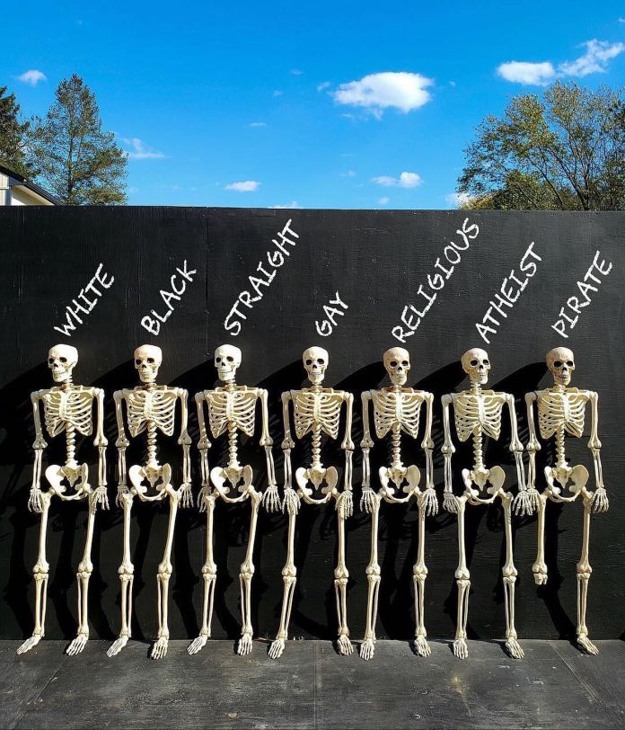 Art installation of seven identical human skeleton models against a black wall, each labeled with different identity tags above—race, sexuality, religion—highlighting human equality.