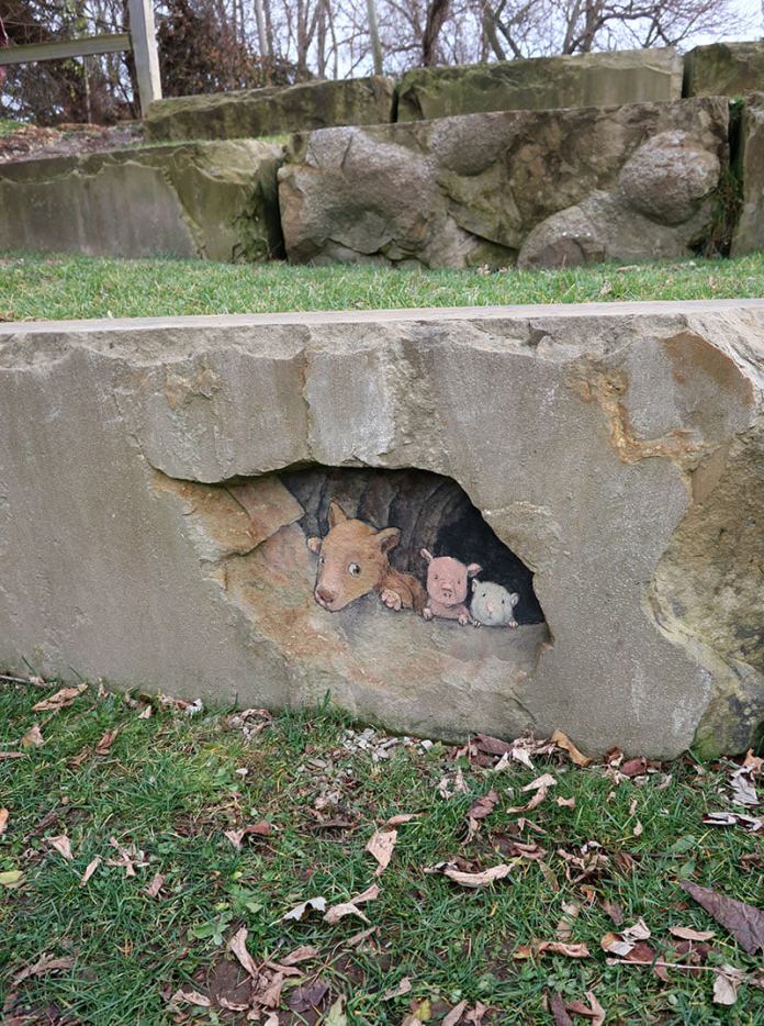 A delightful chalk illustration by David Zinn titled "I don’t know what it says about this year, but membership is booming in the Sixth Street Hibernation Club." The artwork depicts three whimsical animals—a fox, a pig, and a mouse—peering out from a hollowed space in a stone wall. The detailed and lifelike drawings blend seamlessly with the natural texture of the stone, creating an illusion that they are part of the rock. The scene is surrounded by grass sprinkled with fallen leaves, adding to the seasonal and cozy vibe of the piece. Trees and additional stone structures are visible in the background, completing the outdoor setting.