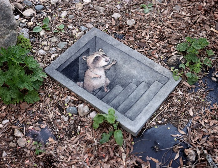 A clever chalk art illusion by David Zinn featuring a raccoon-like creature peeking out from the top of a set of stairs, seemingly descending into the ground. The artwork is drawn on a rectangular stone slab placed on a bed of mulch, surrounded by natural elements such as small green plants, rocks, and leaves, blending seamlessly with its environment. The playful perspective creates a striking three-dimensional effect.