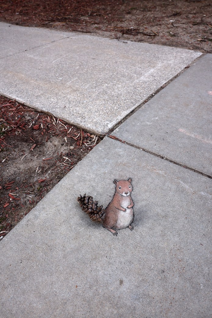 A playful chalk art drawing by David Zinn of a cute squirrel standing upright on a concrete sidewalk, with a real pinecone cleverly positioned to form the squirrel's tail. The artwork integrates seamlessly with the natural elements around it, including mulch and soil from the adjacent ground. The whimsical design highlights Zinn's talent for blending art with the everyday environment.