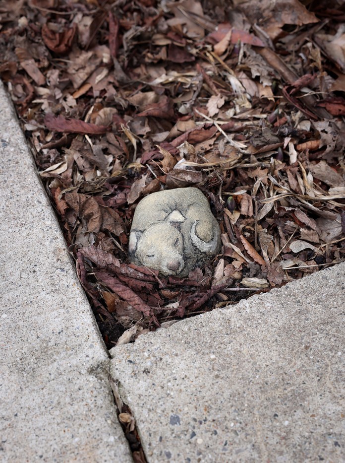 A charming chalk art piece by David Zinn depicting a small sleeping mouse curled up on a rock, nestled among a bed of dry leaves and mulch. The natural texture of the rock serves as the mouse's body, blending seamlessly with the earthy tones of the surrounding environment. The composition highlights Zinn's skill in transforming everyday objects into whimsical art.