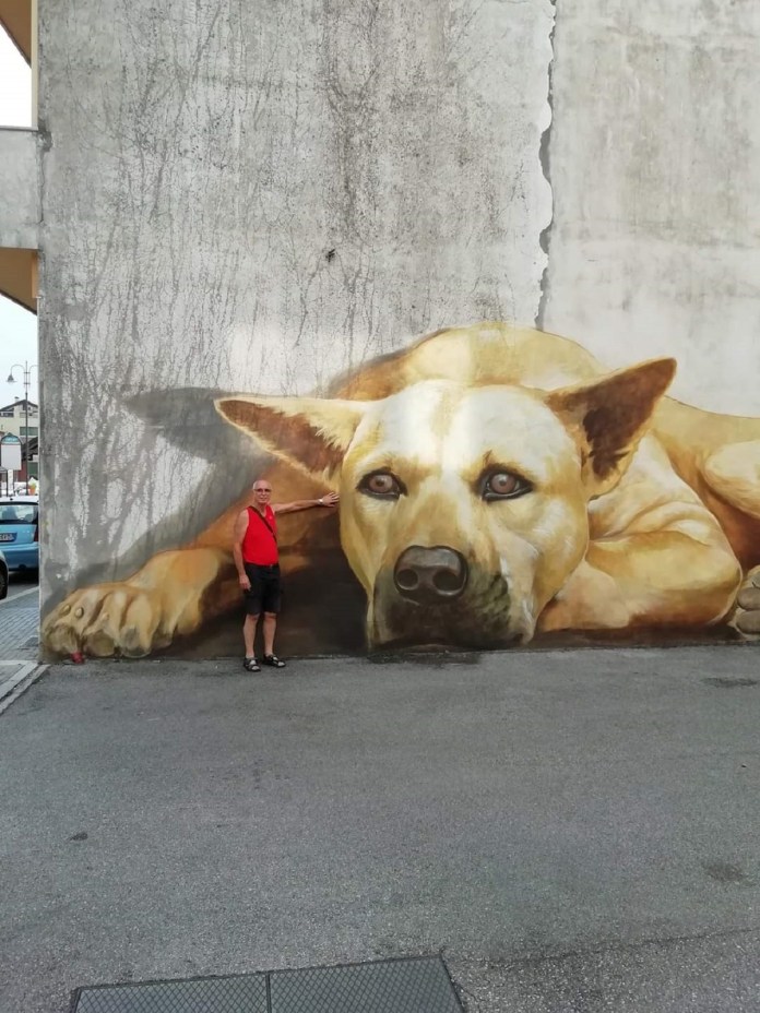 Mural by Giulio Masieri in Pordenone, Italy, showing a massive yellow dog lying on the ground against a concrete wall, with its front legs folded and calm eyes gazing forward. A man nearby emphasizes the mural’s scale.