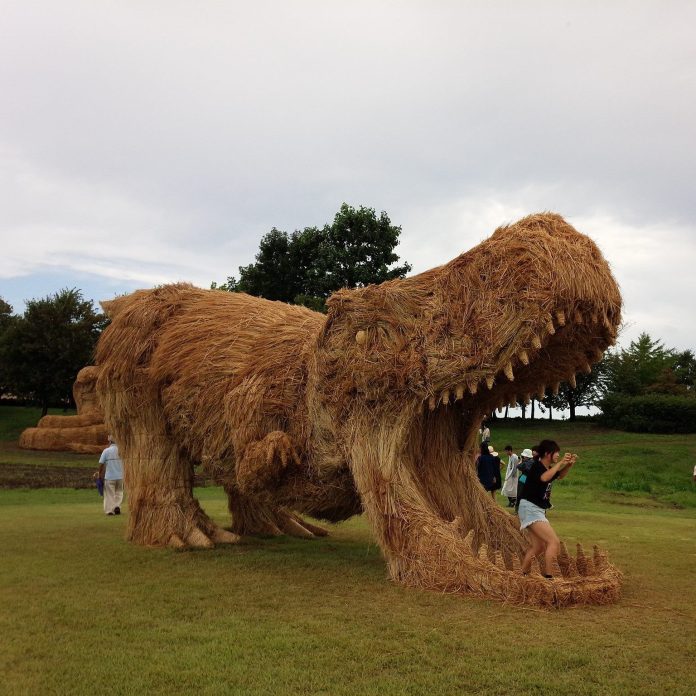 A giant straw sculpture of a roaring dinosaur with a gaping mouth, crafted from rice straw, at the Wara Art Festival in Niigata, Japan. A person is standing inside the dinosaur's mouth, highlighting the interactive and playful nature of the sculpture. The surrounding field and cloudy sky create a stunning natural backdrop.