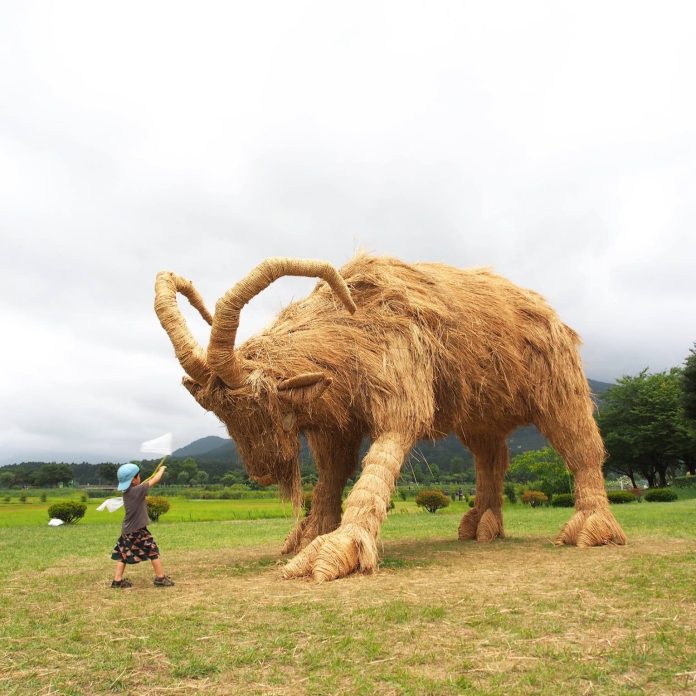 A large straw sculpture of a Capricorn at the Wara Art Festival in Niigata, Japan. The sculpture features prominent, curved horns and a lifelike posture, standing on a grassy field. A young child holding a white flag interacts with the sculpture, adding a playful and interactive element. The cloudy sky and green landscape enhance the natural and artistic atmosphere.