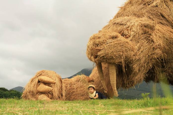 A massive straw sculpture of a reclining walrus with large tusks at the Wara Art Festival in Niigata, Japan. A child sits near the sculpture, creating a sense of scale and interaction. The overcast sky and green field enhance the natural, serene atmosphere of the scene.