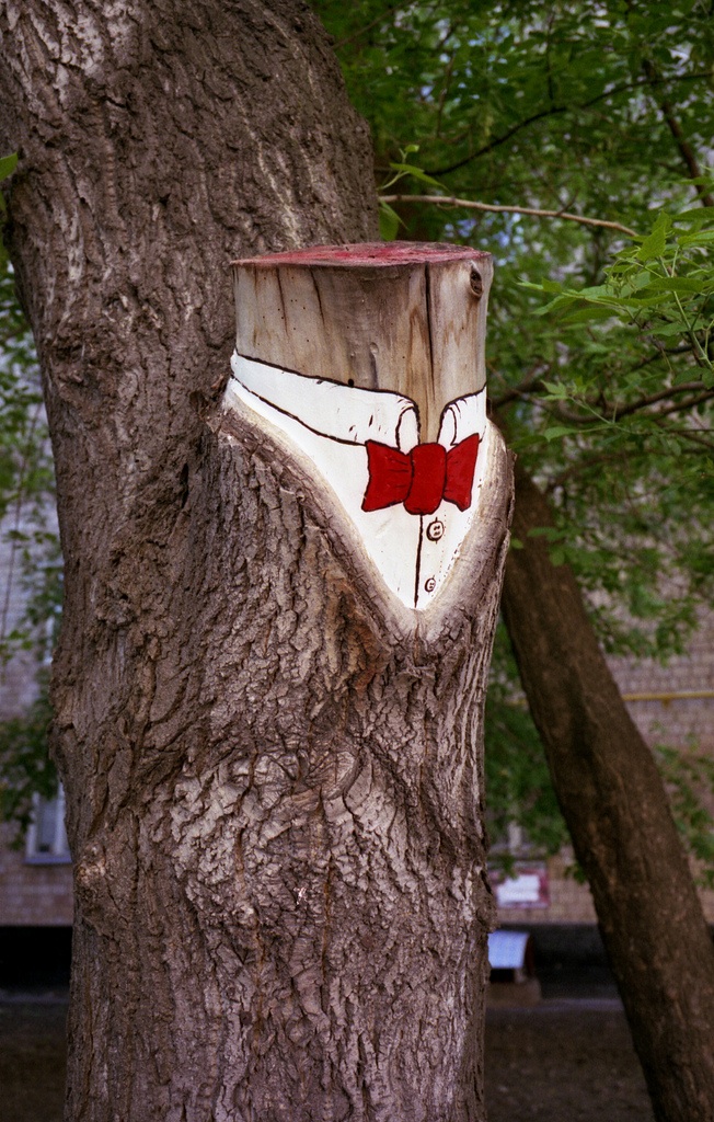 Street Art by 0331C 4