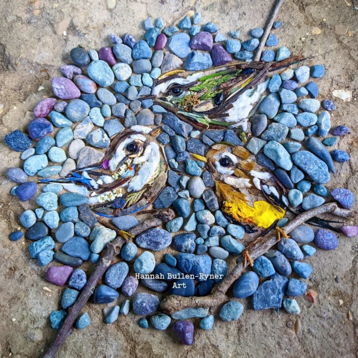 A delicate natural artwork by Hannah Bullen-Ryner, featuring two small Warblers and a Golden-crowned Kinglet crafted from organic materials. The birds are created with intricate details, using twigs, petals, and leaves for their feathers, with their eyes and beaks placed first to bring them to life. Surrounding the birds is a circular mosaic of blue-toned pebbles, adding a feeling of looking through a portal into another world. Each pebble, in varying shades of blue, was collected by the artist's parents from the beach, enhancing the piece’s connection to nature and family. The artwork’s circular composition invites the viewer into a momentary glimpse of this tiny avian scene.