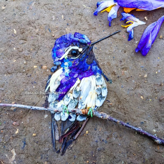 An ephemeral artwork by Hannah Bullen-Ryner depicting a Costa’s Hummingbird, crafted from wilted wild Crocus flowers and other natural materials. The hummingbird’s vibrant plumage is made from rich purple petals layered to resemble feathers, while delicate white and green elements form its wings and tail. The bird’s slender beak and eye are intricately detailed, capturing the essence of the tiny hummingbird against an earthy background. This temporary piece showcases the artist’s skill in using organic, fleeting elements to create a lifelike portrayal of the bird, emphasizing the beauty and fragility of nature.