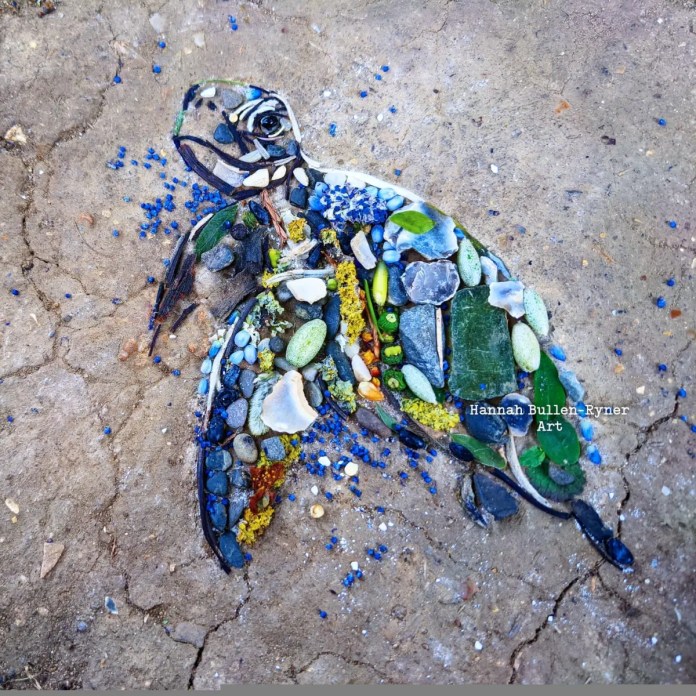 An ephemeral artwork by Hannah Bullen-Ryner depicting a sea turtle, meticulously crafted from a variety of natural materials and a piece of found glass. The turtle’s body and flippers are formed from green leaves, small stones, seeds, and colored fragments, arranged on the ground to capture its shape and texture. The addition of blue petals and a piece of green glass adds color and dimension, while yellow moss and other organic elements highlight the turtle’s details. The composition celebrates the beauty of this marine creature, brought to life in a temporary, nature-inspired form, showing the artist’s dedication and patience in arranging each element over five hours.