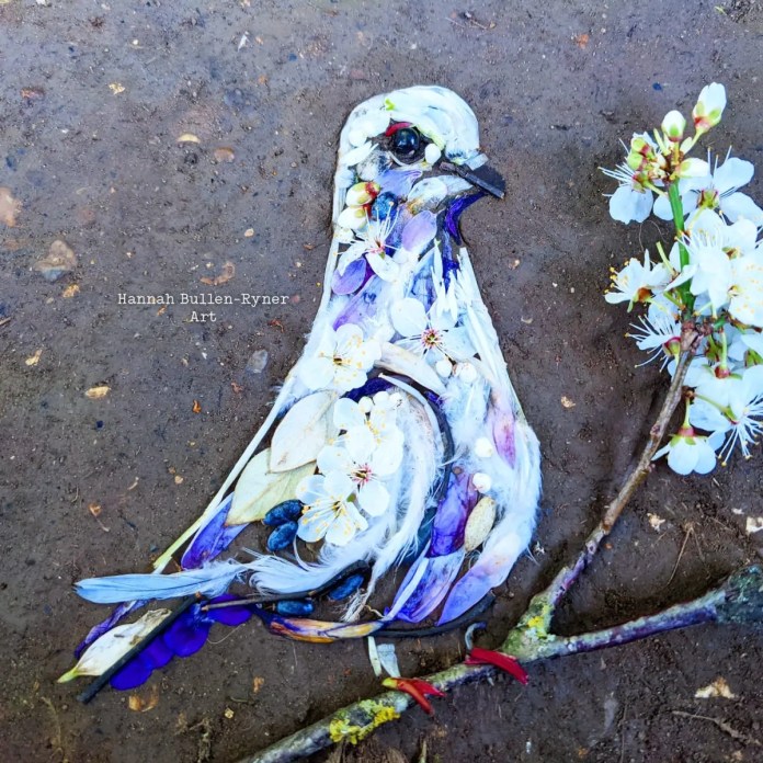 An ephemeral artwork by Hannah Bullen-Ryner, depicting a white dove symbolizing peace, crafted from delicate natural materials in response to the ongoing conflict in Ukraine. The dove’s body is formed from white blossom petals, small feathers, and soft purple crocus petals, arranged carefully on the ground. Its eye is crafted with a dark stone, giving the bird a soulful expression. Beside the dove lies a small branch with white blossoms, enhancing the theme of peace and hope. The piece conveys a message of solidarity and compassion, capturing the fragility and beauty of peace in a fleeting, nature-inspired creation.