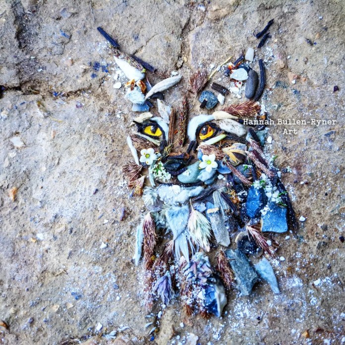 An ephemeral artwork by Hannah Bullen-Ryner depicting a young lynx with a positive and hopeful expression, crafted from natural materials on the ground. The lynx’s face features bright yellow eyes made from small stones, surrounded by carefully arranged leaves, grasses, and petals that form its ears, whiskers, and fur. The organic elements, including tiny white flowers near the nose, add a touch of innocence and charm. Soft earthy tones, combined with hints of green and purple, bring this expressive, youthful lynx to life, capturing a sense of optimism and vitality in a fleeting, nature-inspired form.