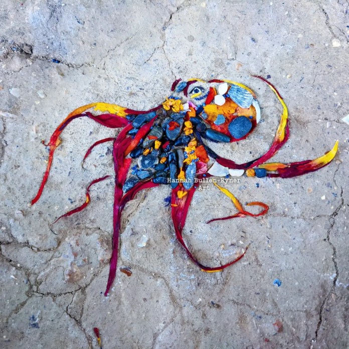 An ephemeral artwork by Hannah Bullen-Ryner depicting an octopus, crafted from vibrant natural materials arranged on the ground. The octopus’s body is formed from small stones, shells, and colorful petals, predominantly in red, yellow, and orange hues. Long, flowing tentacles extend outward, made from petal strips that swirl organically, reflecting the movement of the sea. This piece was created under windy conditions, making it a playful collaboration with nature, as noted by the artist. The materials, including flowers and gravel borrowed from the artist’s parents’ garden, bring life and texture to this whimsical and fleeting marine creature.