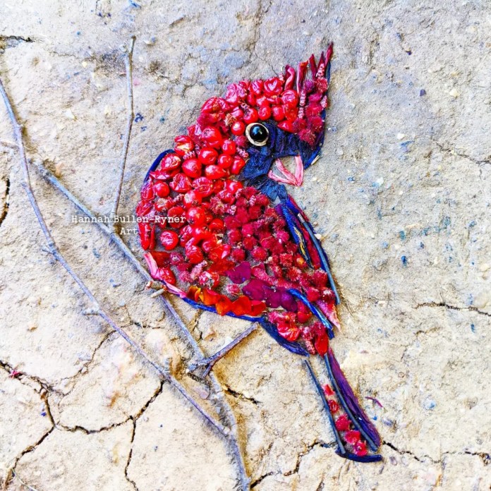 An ephemeral artwork by Hannah Bullen-Ryner depicting a vibrant male cardinal, crafted from an assortment of red natural materials arranged on the ground. The cardinal’s body and crest are formed from bright red berries and petals, with darker elements used for the eye, beak, and tail feathers, capturing the bird’s distinct features. A few twigs frame the bird, adding a delicate outline. The artist creatively used every scrap of red material available, bringing this lively cardinal to life in a temporary, nature-inspired form. The artwork showcases the beauty of the cardinal in a whimsical, fleeting composition.