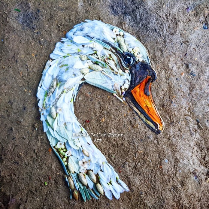 An ephemeral artwork by Hannah Bullen-Ryner depicting a graceful swan, crafted from natural materials arranged on the ground. The swan’s elegant neck and head are formed from white petals, small flowers, and other foraged materials that create a soft, feathered texture. Its orange beak is created using vibrant petals gifted from a fallen supermarket flower display, adding a splash of color to the otherwise white composition. A dark stone or seed captures the swan's eye, bringing a lifelike quality to the bird's serene expression. This temporary piece showcases the artist's skill in using minimal resources to evoke the beauty and elegance of a swan in nature.