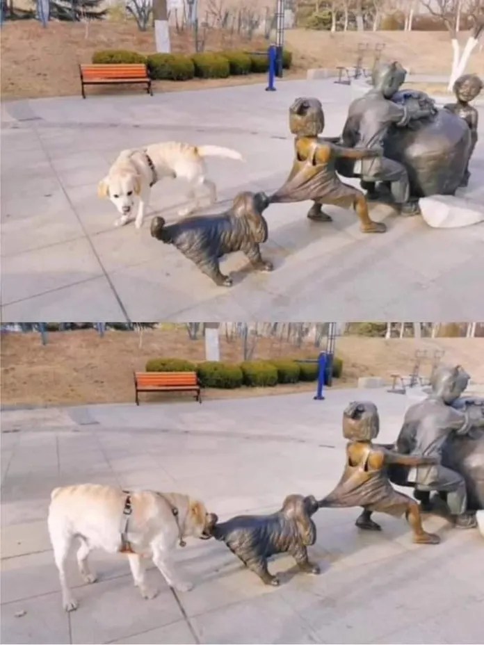 A real yellow Labrador appears to pull on the tail of a bronze dog statue, which is part of a sculpture of children and animals trying to move a large object in a public park in South Korea.