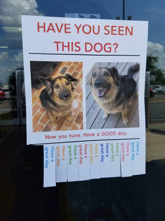 Flyer with two pictures of a smiling dog, reading “Have you seen this dog? Now you have. Have a GOOD day.” Bottom tabs say “Have a great day.”
