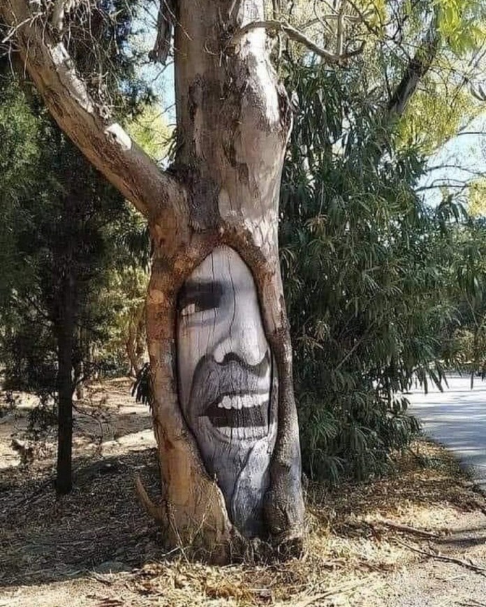 Face of a man painted on the inner trunk of a tree, with bark forming natural contours of the face, creating a surreal expression of joy.