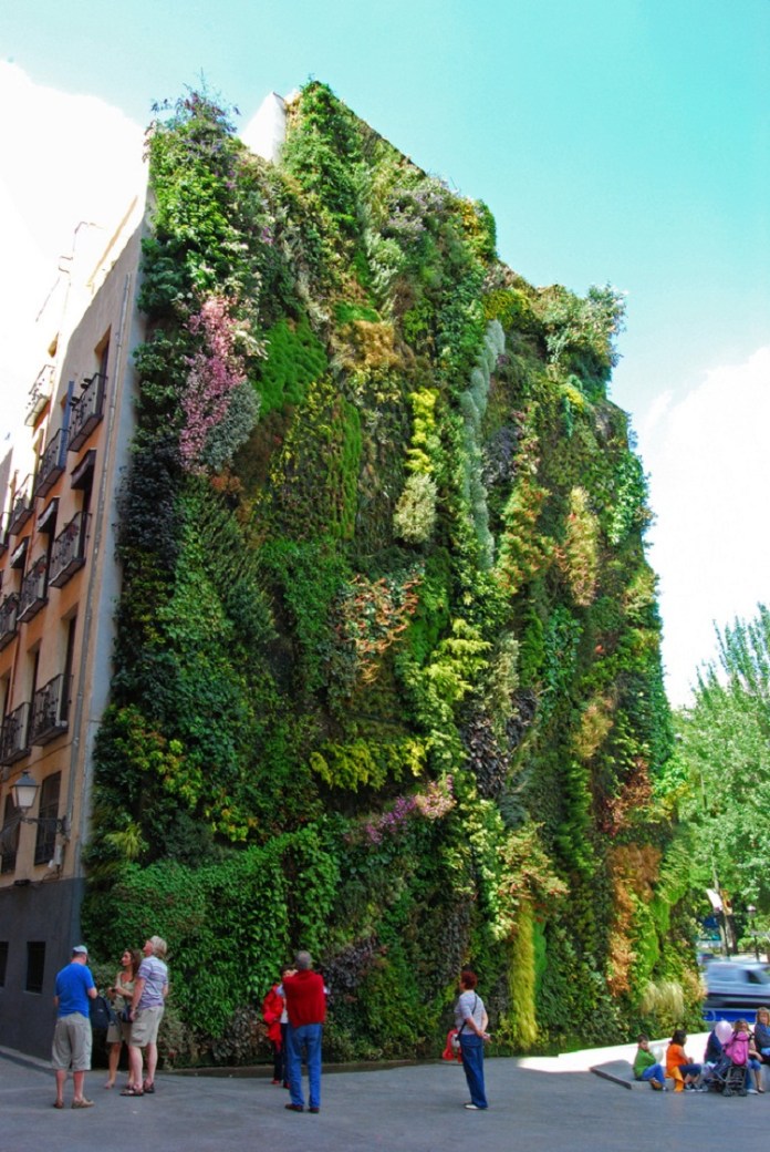 Massive vertical garden by Patrick Blanc in Madrid, Spain, covering an entire building wall with dense, colorful layers of plants and greenery, while people gather below and take photos.