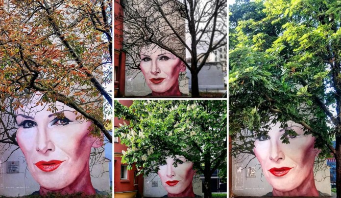 Four images of a mural by Bruno Althamer in Warsaw, Poland, depicting singer Kora (Olga Jackowska). The mural is painted on a red building and cleverly integrates with a large tree in front. Each image represents a different season, as the tree changes appearance: lush green leaves in summer, blooming white flowers in spring, orange foliage in autumn, and bare branches in winter. Kora's face, with red lips and expressive eyes, remains a striking focal point year-round. The mural is located behind the Branicki Palace on Nowy Świat street, Warsaw, Poland.