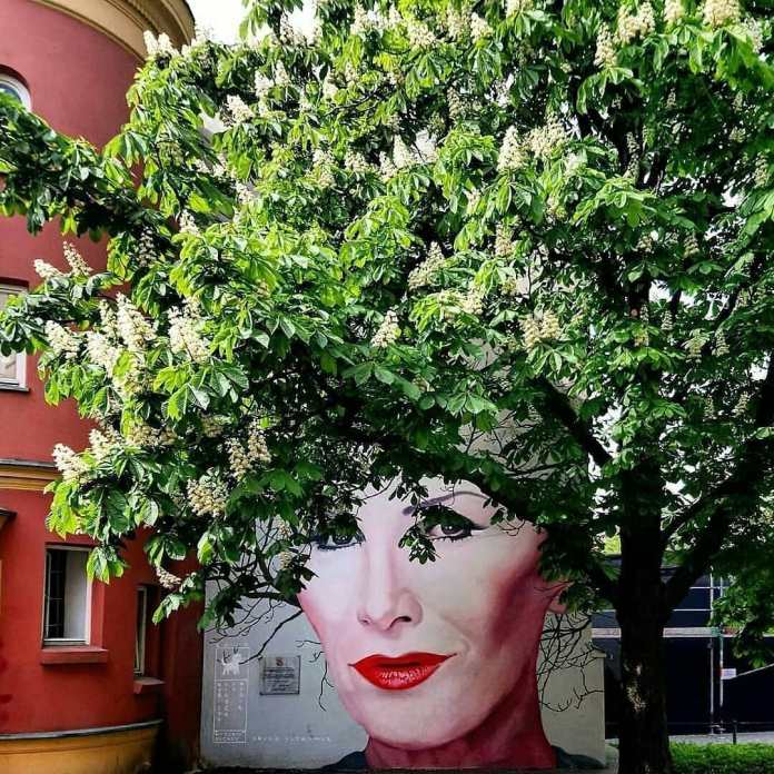Spring version of the Kora mural by Bruno Althamer in Warsaw, Poland. The mural of singer Kora (Olga Jackowska) is complemented by a large tree with blooming white flowers. The blossoms and green leaves intertwine with the mural, appearing as Kora's hair, creating a seasonal harmony. The red building wall contrasts beautifully with the vibrant spring foliage.
