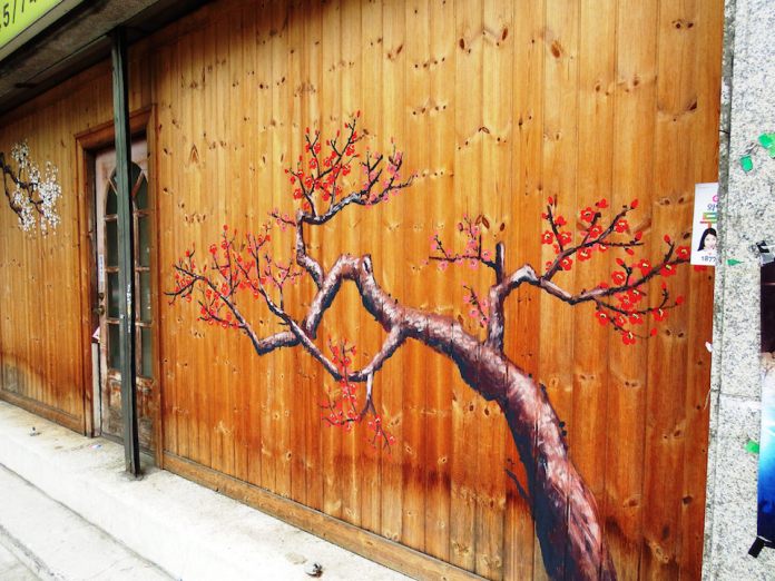 Street Art from Seoul Area, South Korea. Photo by Mark Johnson 5