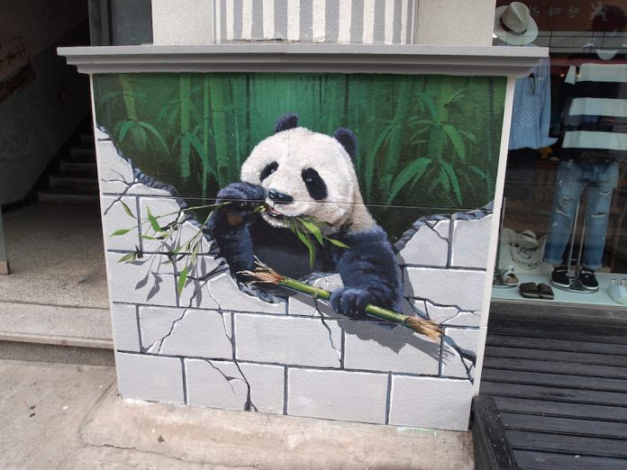 Street Art from Seoul Area, South Korea. Photo by Mark Johnson 54