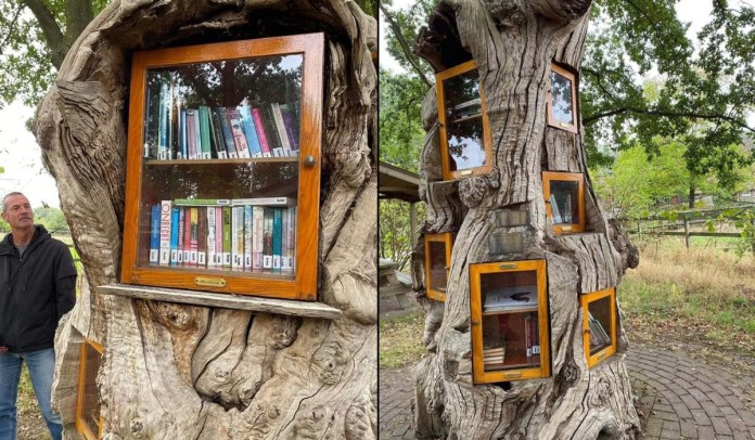 Side-by-side images of a public library built into a large, hollow chestnut tree in Ruurlo, Netherlands. On the left, a close-up shows a glass-fronted wooden bookcase filled with books embedded in the tree’s trunk, with a man standing nearby. On the right, a wider view reveals multiple bookcases with glass doors installed at various angles into the weathered bark of the ancient tree, surrounded by a park setting with trees and a brick path.