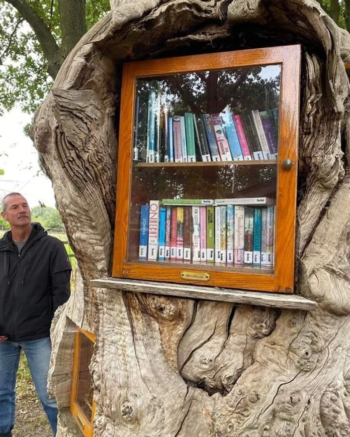 Close-up of a public library cabinet built into a gnarled chestnut tree trunk in Ruurlo, Netherlands. The cabinet is framed in orange-toned wood and filled with neatly arranged books behind a glass door. A man in a black jacket is standing nearby.
