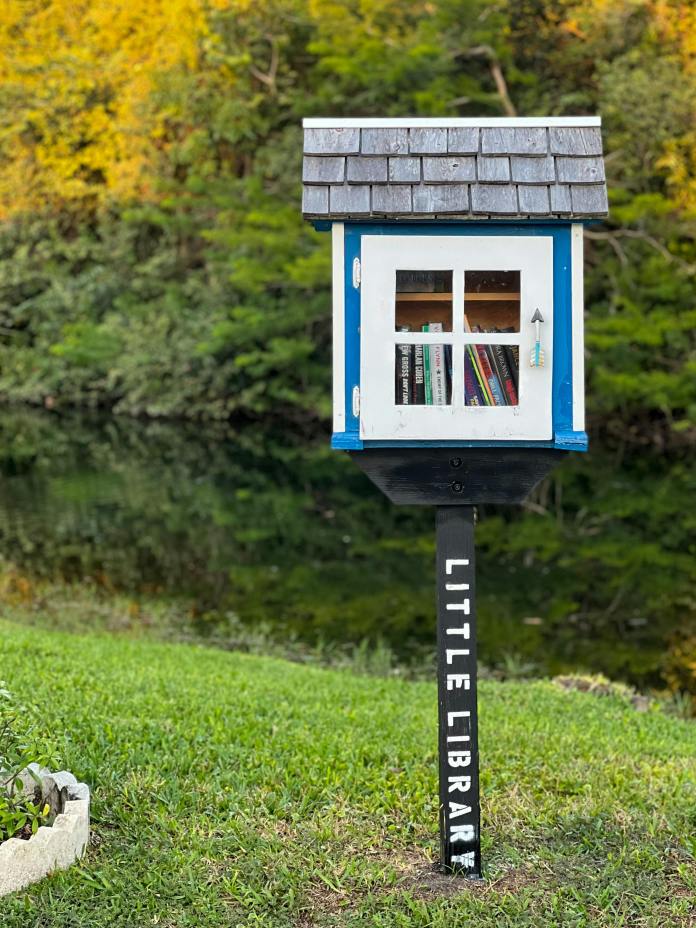 A small white and blue book-sharing box labeled "Little Library" on a black post, standing on lush grass near a reflective lake, surrounded by dense green trees.