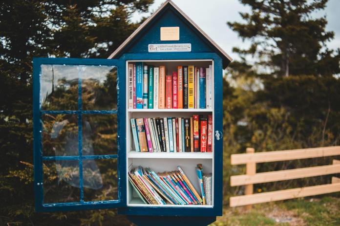 A dark-blue wooden book hut with a pitched roof and window-paneled door, filled with colorful books, placed among coniferous trees in a forested area.