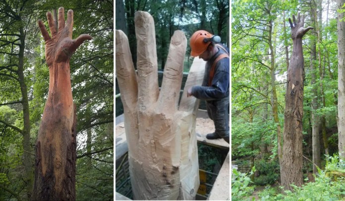 The Giant Hand of Vyrnwy sculpture carved from a tall Douglas Fir tree stump, featuring an outstretched hand reaching toward the sky, surrounded by dense green forest in Wales.