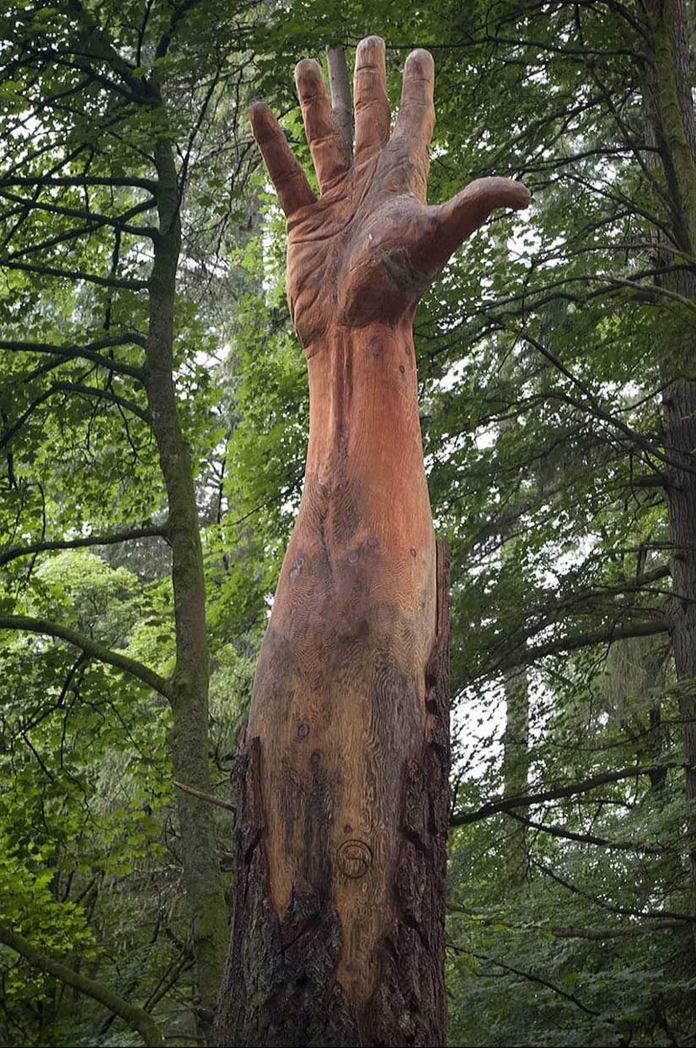 A towering wooden sculpture carved from the trunk of a Douglas Fir, shaped like a giant hand reaching toward the sky, surrounded by lush greenery in the Giants of Vyrnwy area.