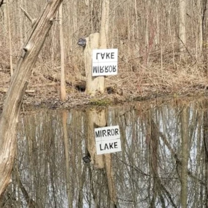 Two reversed signs read backwards text that reflects in a still pond to reveal “MIRROR LAKE” clearly, creating a clever visual pun.