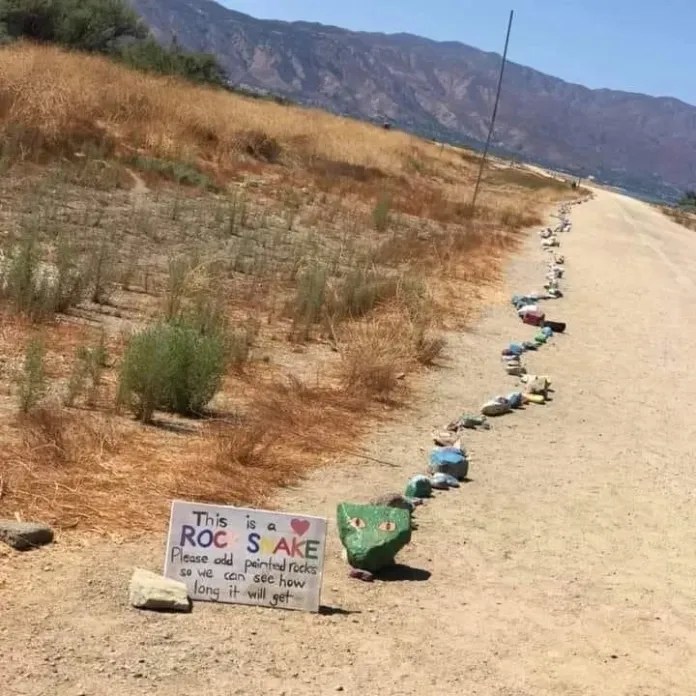 A long line of painted rocks stretches along a dry trail under a sign that says “This is a ROCK SNAKE! Please add painted rocks so we can see how long it will get.”