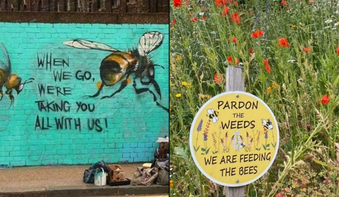 Split-image featuring two bee-related messages: On the left, a turquoise brick wall mural by Louis Masai in London shows two realistic bees with the graffiti text “When we go, we're taking you all with us.” On the right, a wildflower garden in front of a building displays a yellow sign that reads “Pardon the Weeds, We Are Feeding the Bees.” Both images highlight the ecological importance of bees in urban spaces.