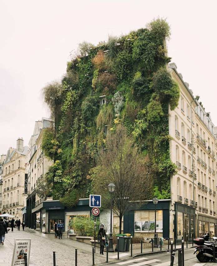 Urban building in Paris covered entirely with a lush green wall made of vertical gardens, blending with the surrounding cityscape.