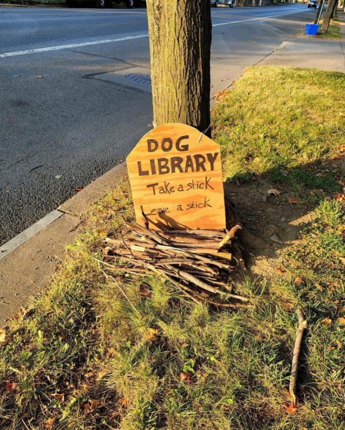 Wooden sign reading “Dog Library: Take a Stick, Leave a Stick” placed beside a tree on a grassy roadside, with a pile of sticks underneath.