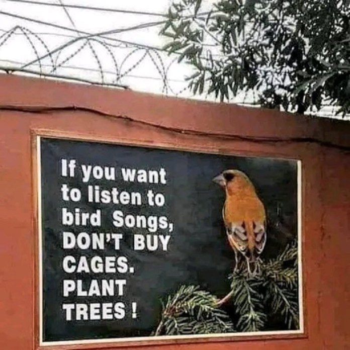 Outdoor sign with a photo of a bird on a tree branch and bold white text reading “If you want to listen to bird songs, don’t buy cages. Plant trees!”