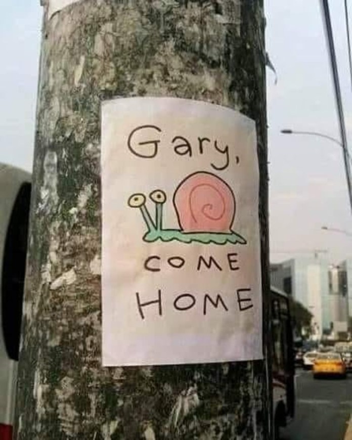 A hand-drawn flyer attached to a city utility pole showing a cartoon snail and the text “Gary, come home,” referencing the SpongeBob character Gary the Snail.