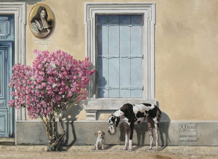 A segment of Patrick Commecy's mural in Montpellier, France, featuring a charming scene of a large black-and-white spotted Great Dane curiously looking down at a small puppy sitting beside it. A vibrant, flowering pink tree grows next to a closed, pale blue shuttered window with intricate white framing, adding warmth to the scene. Above the window, a portrait plaque of botanist Pierre Magnol (1638–1715) pays tribute to the scientist, while the artist's credit, 'A. Fresco,' appears near the bottom. The mural is highly detailed, blending art with the building’s architecture.