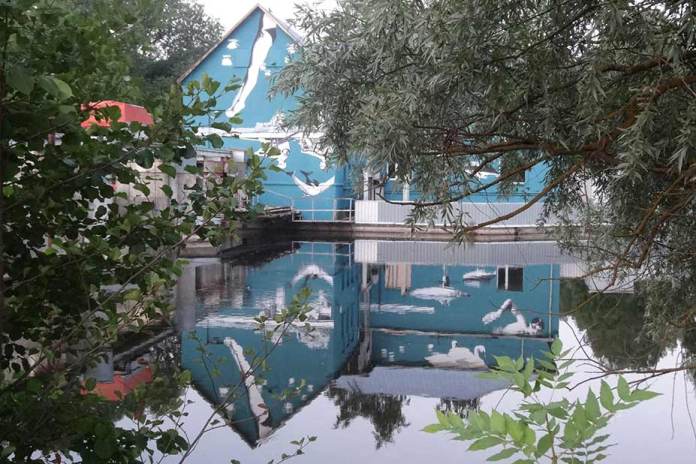 A view of the turquoise mural by artist Ray Bartkus in Marijampolė, Lithuania, as seen through the frame of overhanging tree branches and foliage. The mural, painted on the side of a building by a canal, reflects perfectly in the still water, transforming its upside-down depiction of swimmers, rowers, and swans into an upright, lifelike scene. The natural framing adds a serene and picturesque element to the artwork.