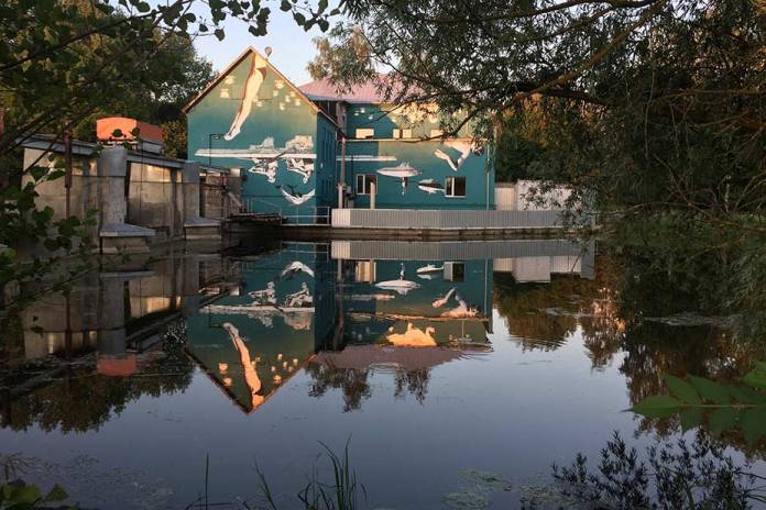 The turquoise mural by artist Ray Bartkus in Marijampolė, Lithuania, beautifully reflected in the calm canal water at sunset. The upside-down design on the building wall transforms into a harmonious upright scene of swimmers, rowers, and swans in the water’s reflection. The warm golden light and surrounding trees enhance the serene atmosphere of the setting.