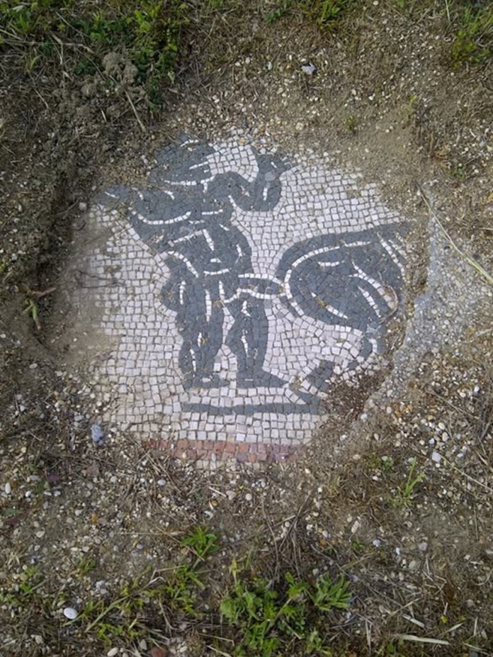 A Roman-era black-and-white mosaic featuring a mythological Minotaur scene, discovered near the ancient city of Antioch in Turkey, unexpectedly unearthed during agricultural work.