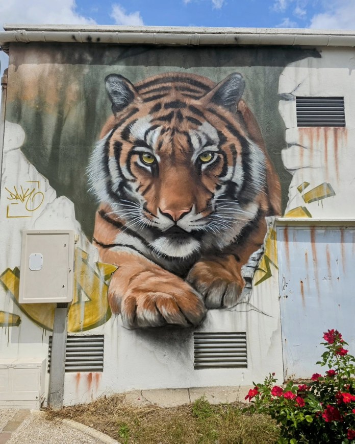 Hyperrealistic tiger mural painted on a white building wall in Courtenay, France, with the tiger appearing to leap out from behind cracked plaster.