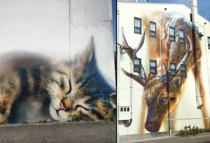Side-by-side murals by Jack Lack: on the left, a hyperrealistic painting of a sleeping tabby cat with closed eyes and a pink nose blending into a white wall in Grenoble, France; on the right, a towering mural of a stag with large antlers integrated into the windows and structure of a building in Osaka, Japan, painted in warm brown and golden tones.
