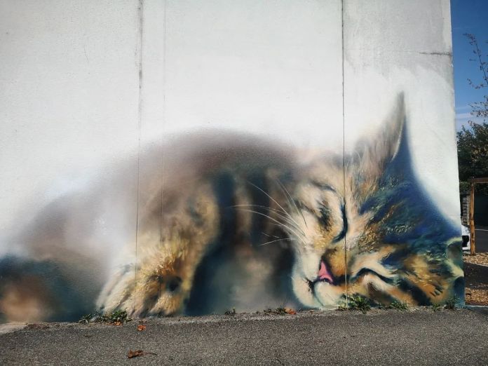 Hyperrealistic mural of a sleeping tabby cat with its eyes closed and head resting on its front paws, painted on a white wall in Grenoble, France. The mural blends seamlessly into the surrounding architecture, creating a peaceful, dreamlike effect.